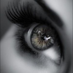 Meet your Posher, Jayme